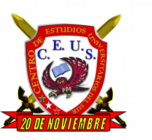 Centro de Estudios Universitario del Sur "20 de Noviembre"
